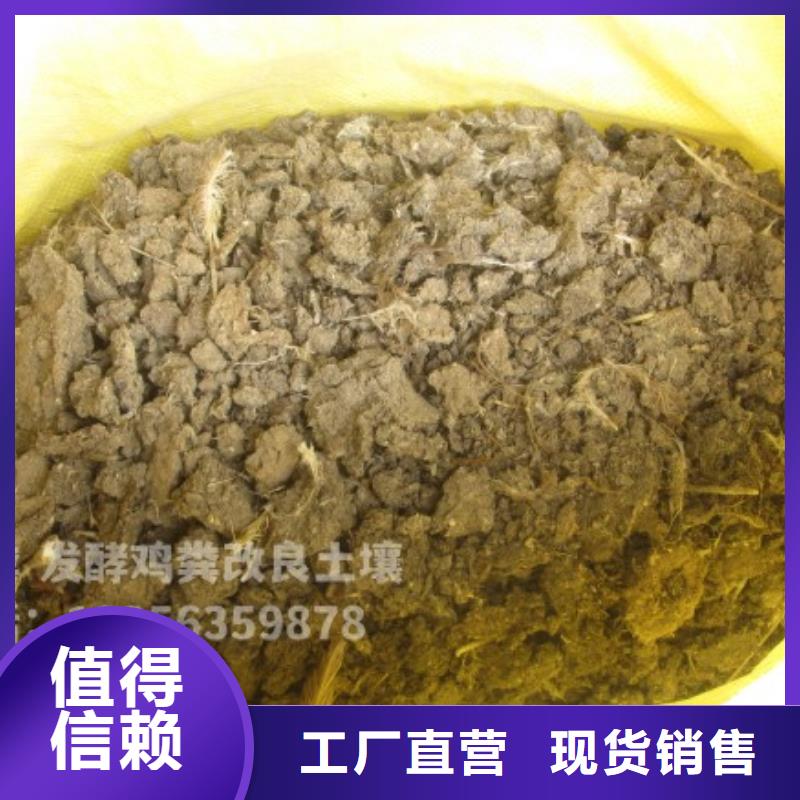 干鸡粪块春耕必备农家肥