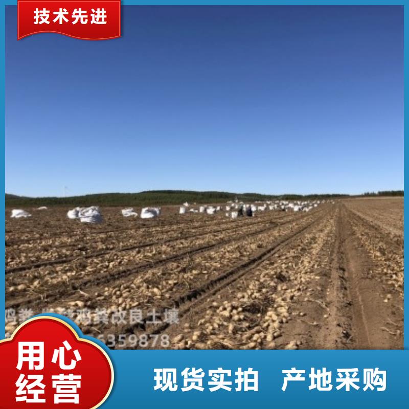 稻壳鸡粪蔬菜施肥