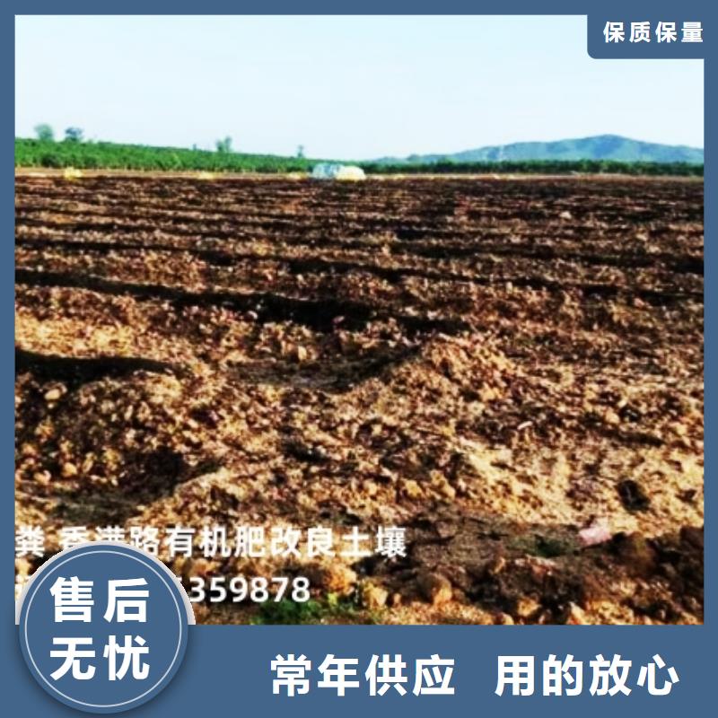 鸡粪发酵鸡粪有机肥量少也做