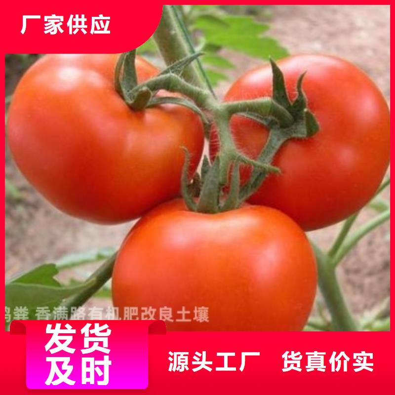 发酵鸡粪良心农家肥