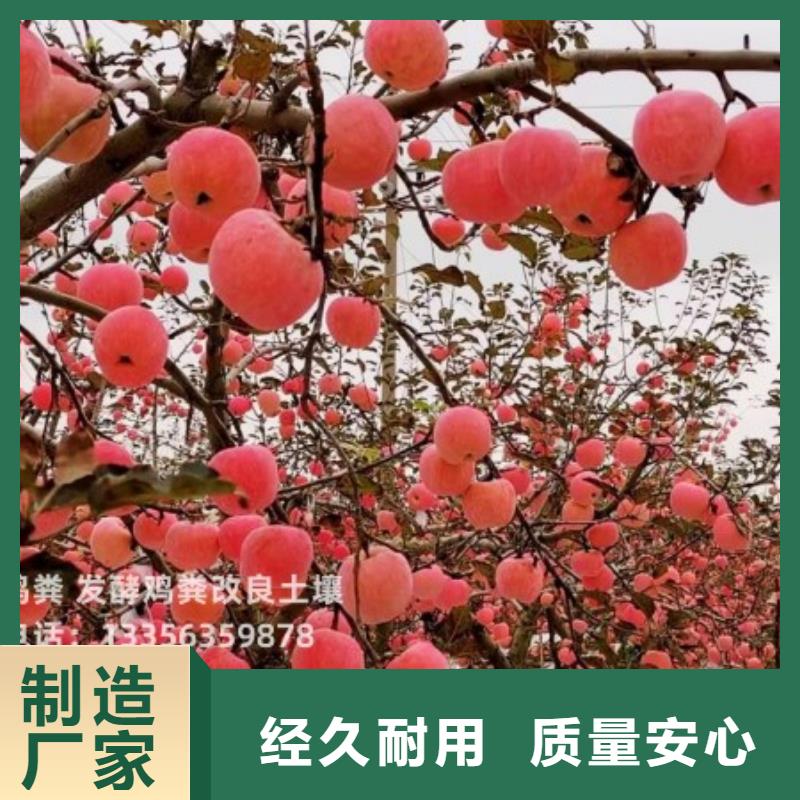 鸡粪有机肥改良土壤