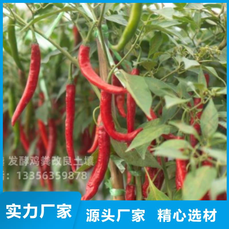 鸡粪干鸡粪供应全品类现货