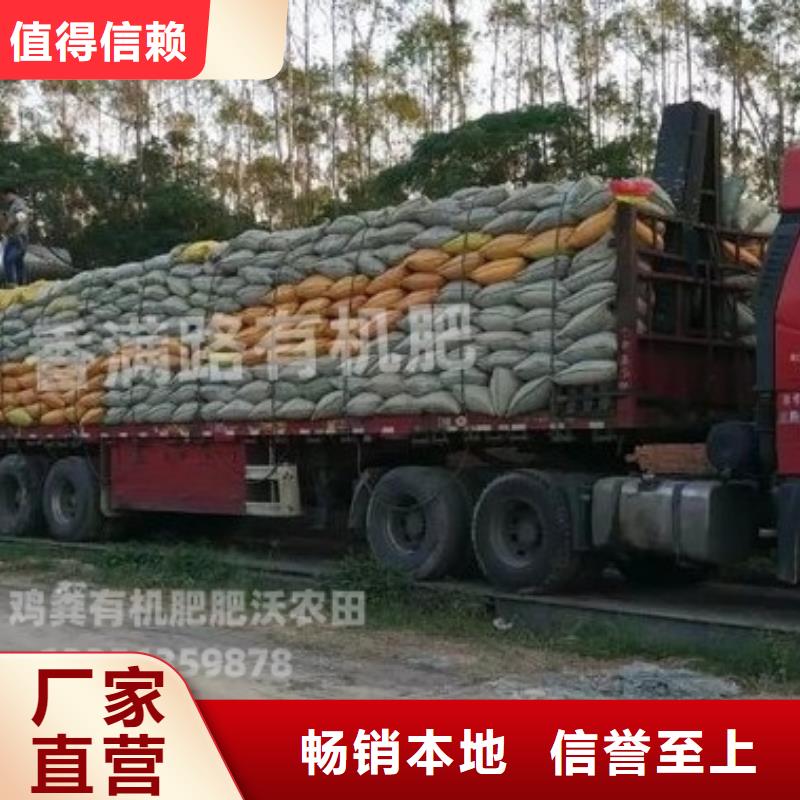 干鸡粪块实力雄厚