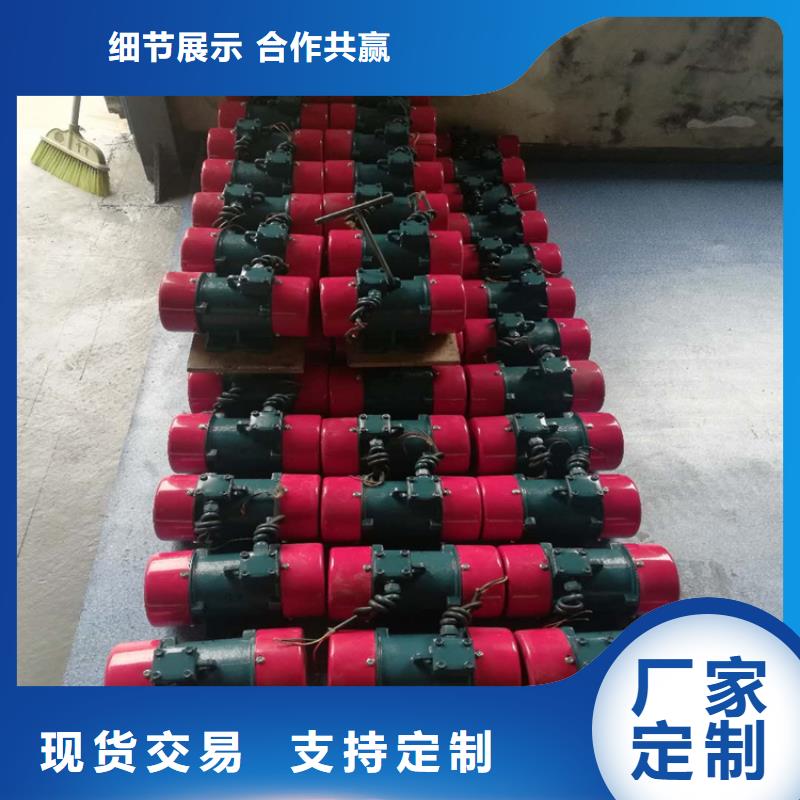 防爆振动电机平板振动器实体厂家支持定制