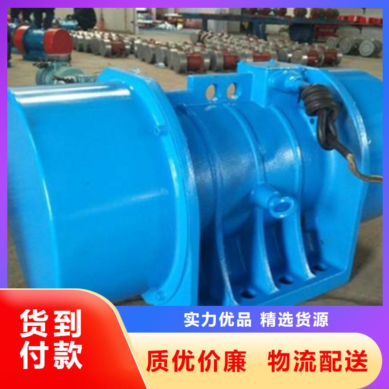 防爆振动电机平板振动器实体厂家支持定制