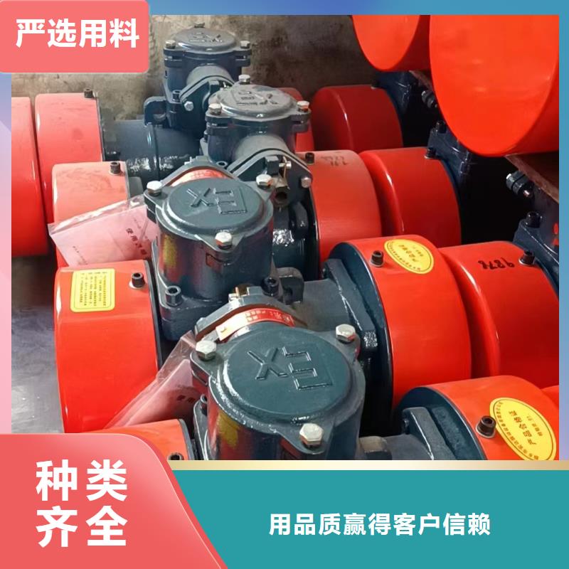 防爆振动电机防爆振动电机厂多年厂家可靠