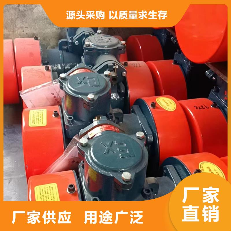 防爆振动电机防闭塞装置厂家检验发货