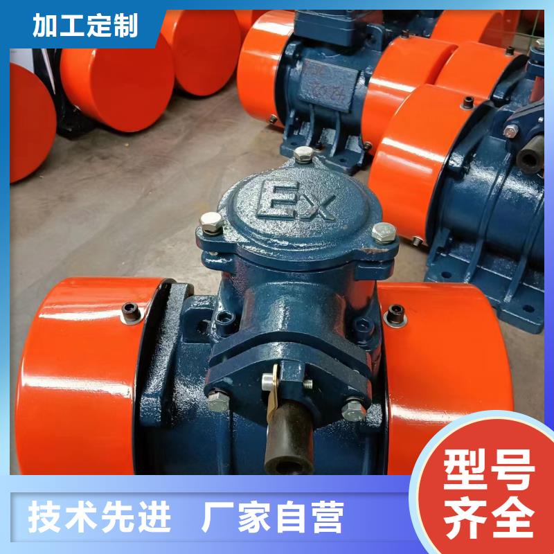 防爆振动电机水平振动平台厂家案例