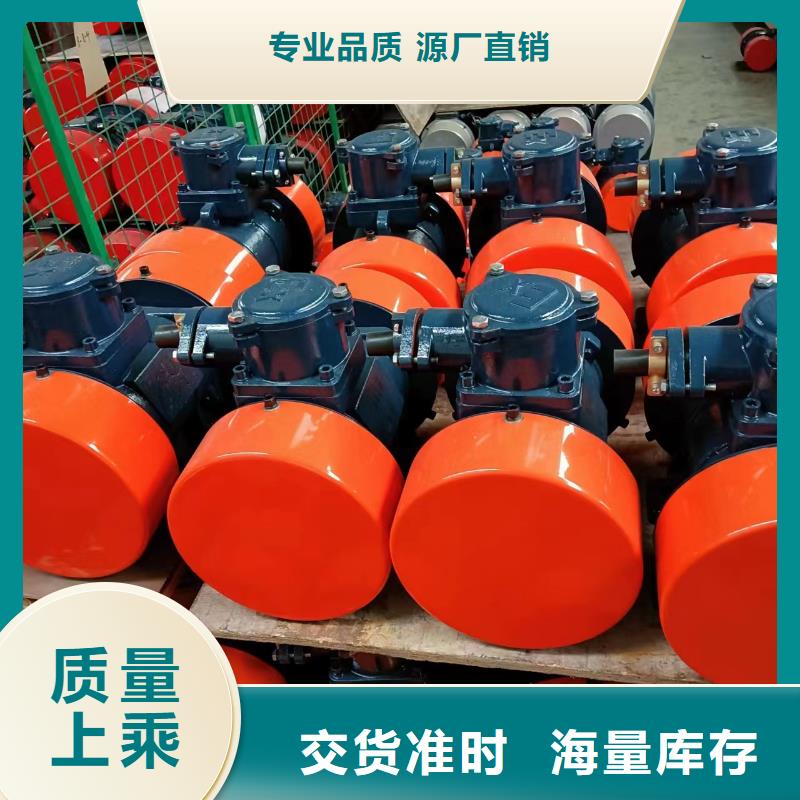 防爆振动电机-面粉振动筛厂家专业生产厂家