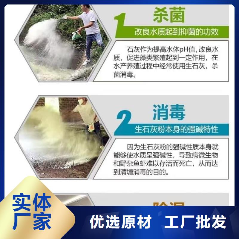 石灰污泥固化白灰 买的放心安兴用的舒心