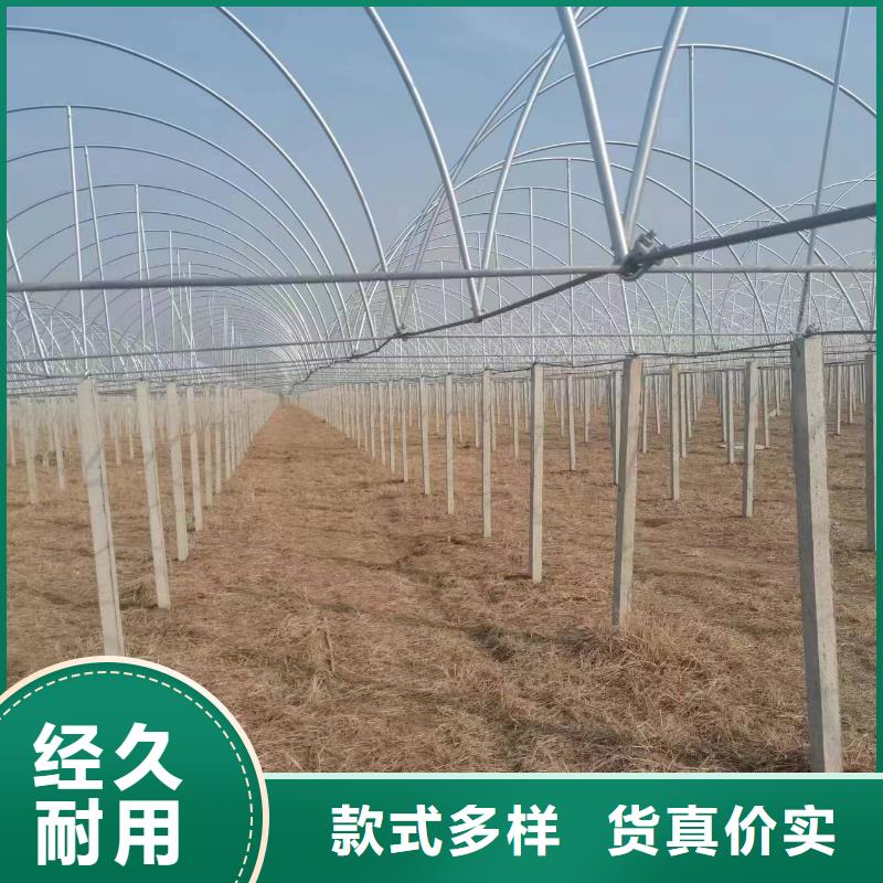 温室大棚太阳能光伏支架应用领域