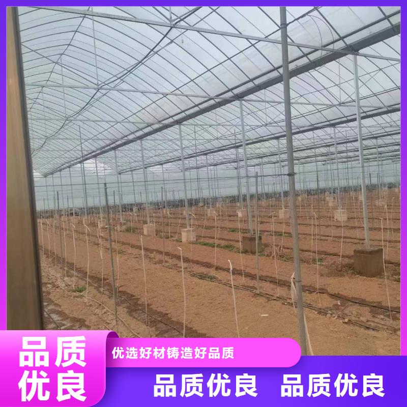 温室大棚方矩管真实拍摄品质可靠