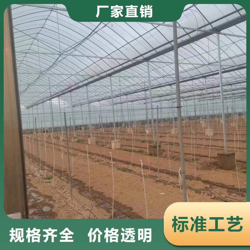温室大棚温室大棚管工厂现货供应