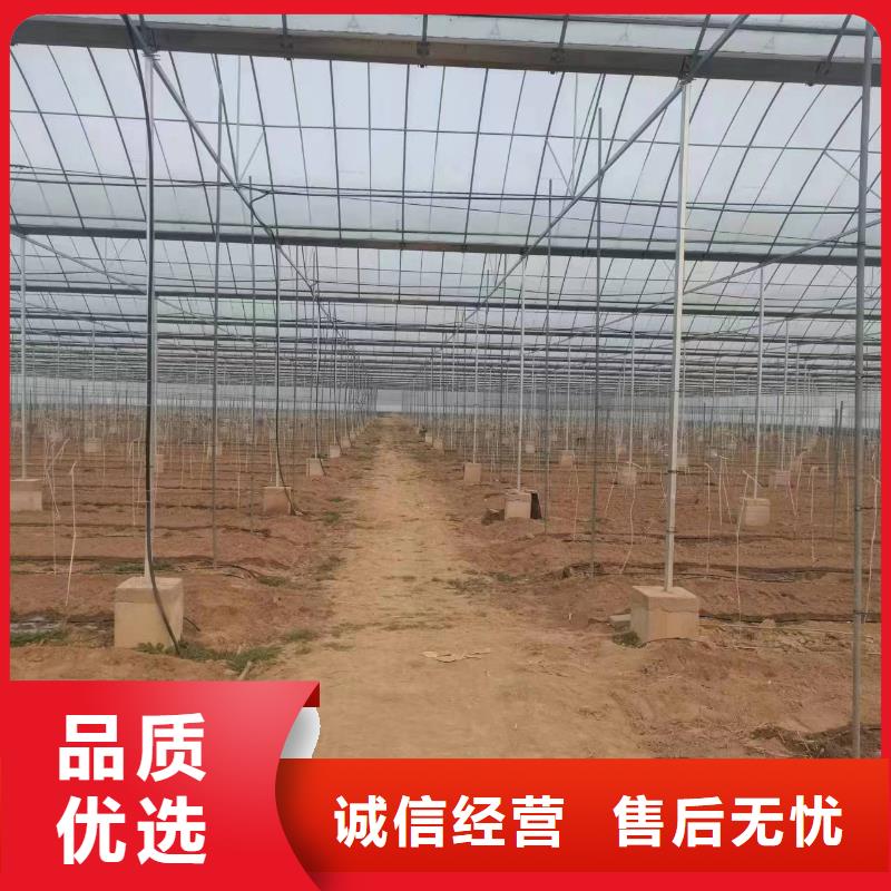 温室大棚光伏支架拒绝中间商