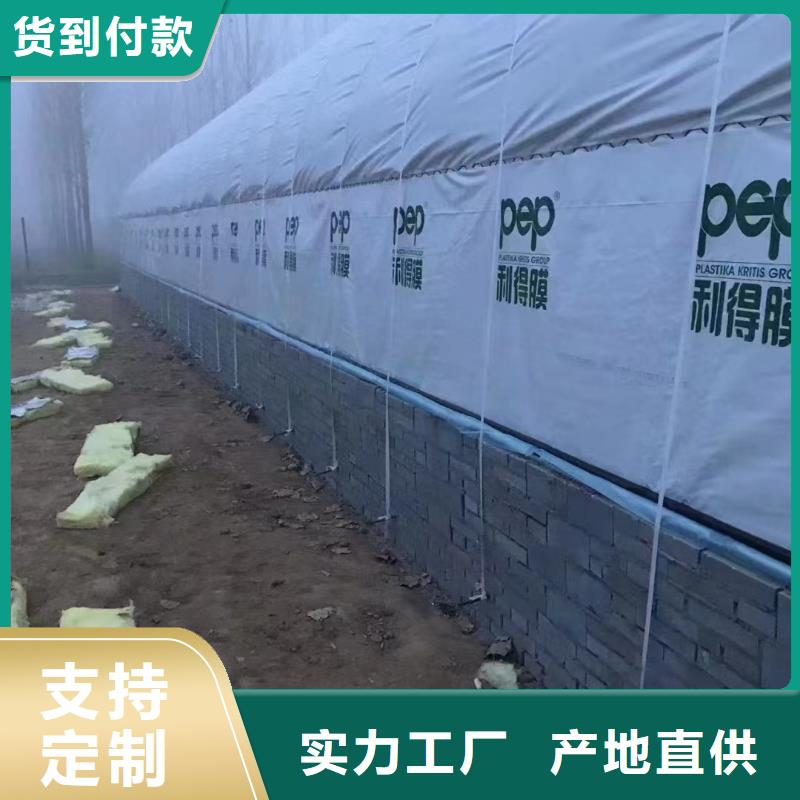 温室大棚,热镀锌光伏支架好产品放心购