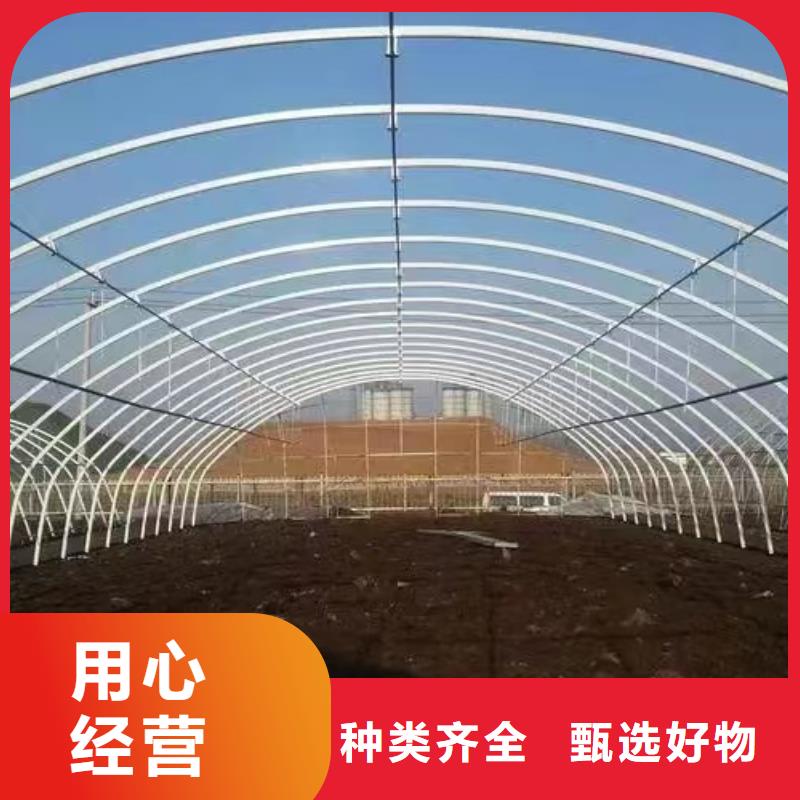 温室大棚-暖棚保质保量