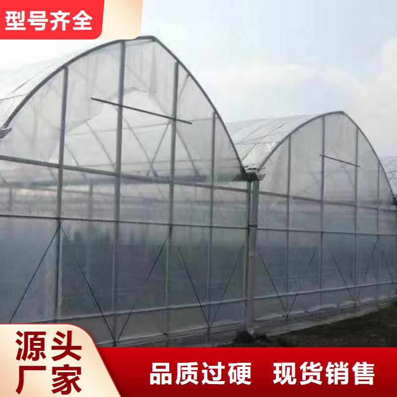 温室大棚连栋温室工厂直营