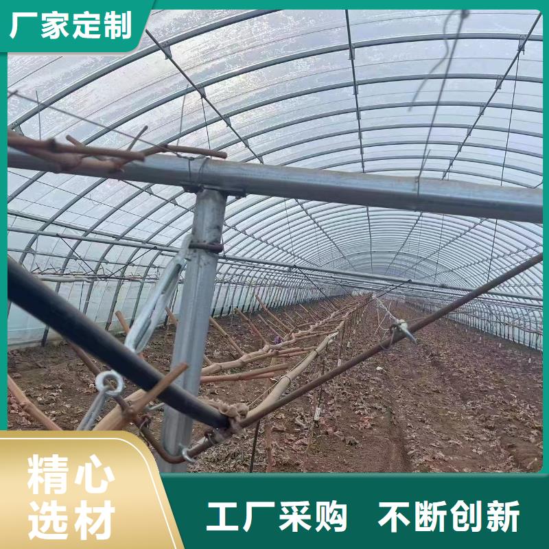 温室大棚,热镀锌光伏支架N年生产经验