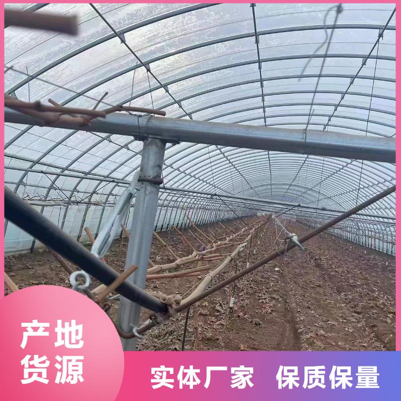 温室大棚温室大棚管经验丰富品质可靠