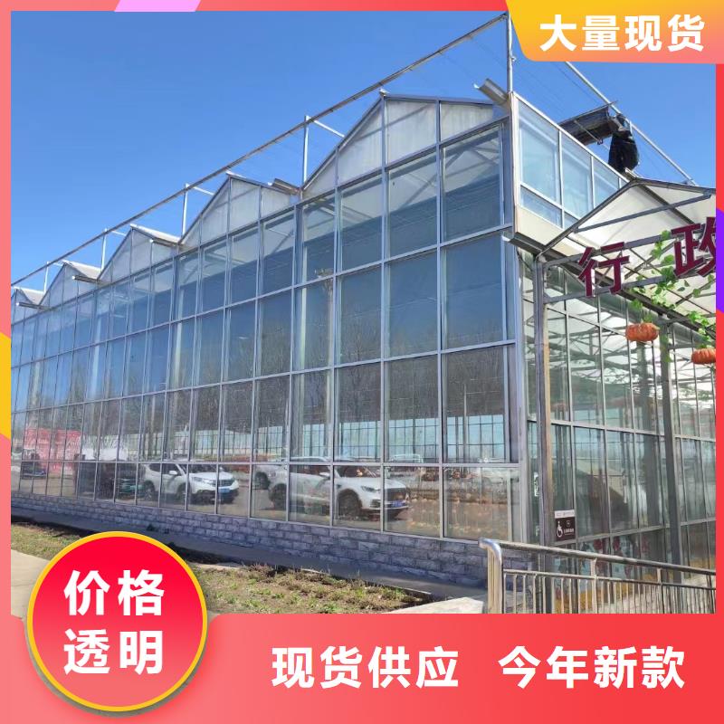 温室大棚蘑菇棚海量现货直销