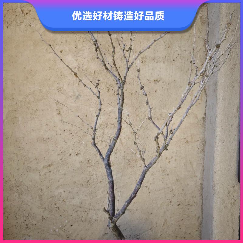 民宿改造，泥巴墙漆，艺术涂料厂家，稻草漆定制施工
