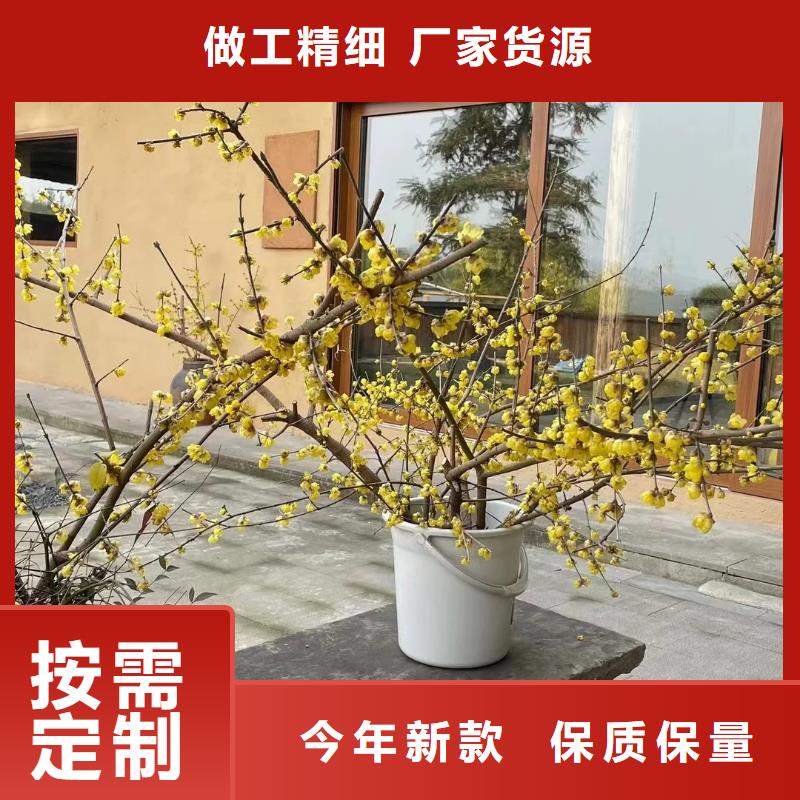 老房翻新稻草漆生产厂家，批发价，可施工