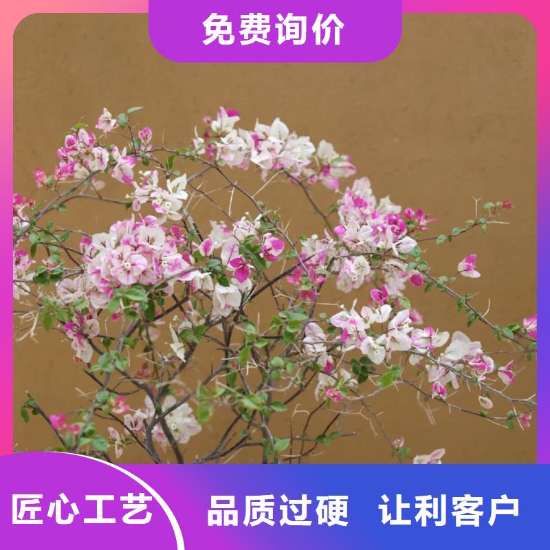 酒店民宿稻草漆源头工厂，厂家批发