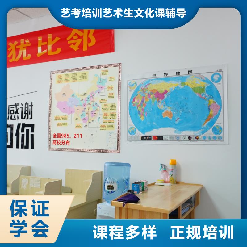 山东艺考文化课-舞蹈艺考培训保证学会