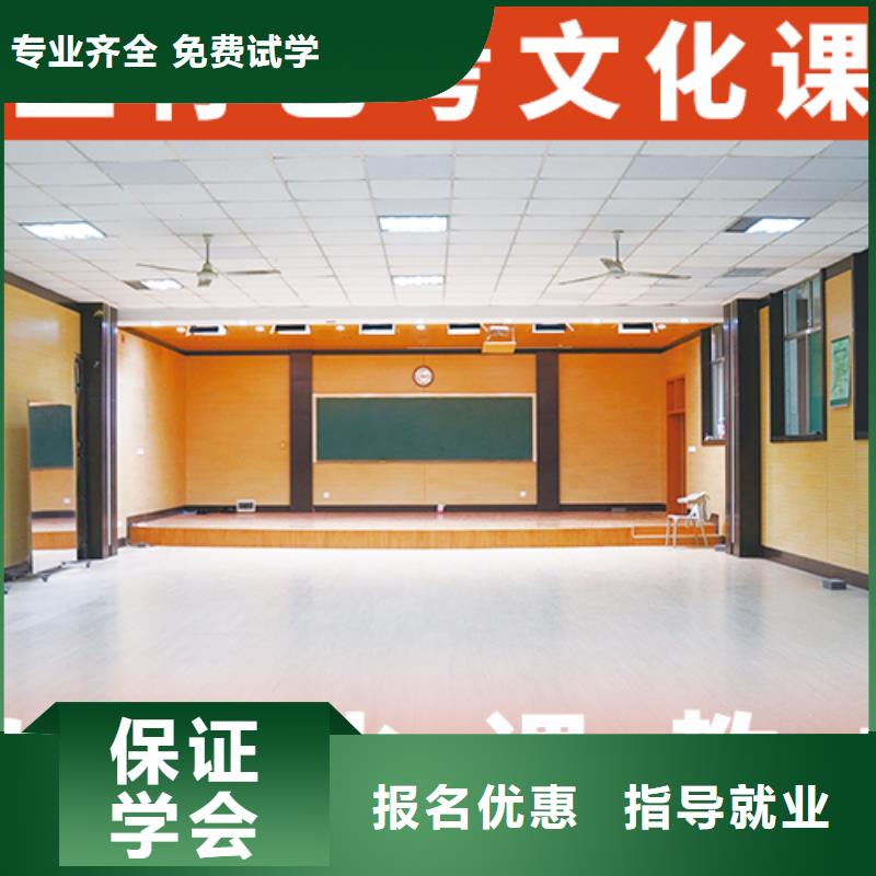 艺考文化课辅导艺术生文化补习老师专业