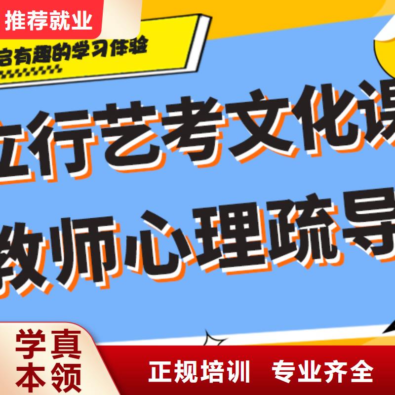 艺考生文化课_高中英语补习学真技术