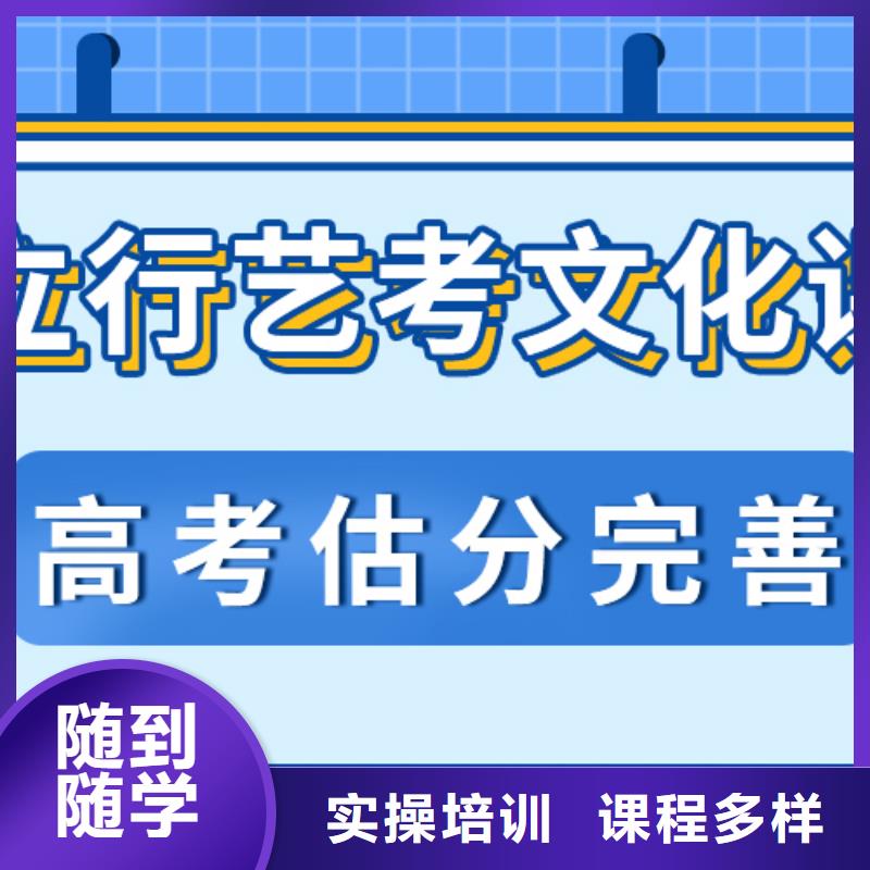艺考生文化课高三复读辅导实操教学