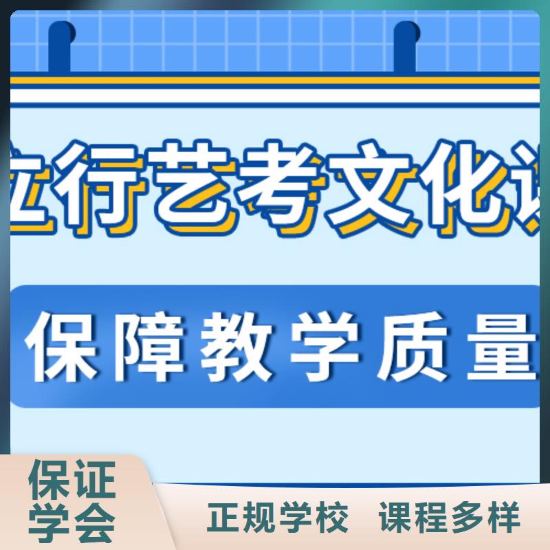 艺考文化课补习高考老师专业