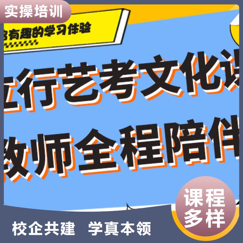 艺术生文化课舞蹈艺考培训课程多样