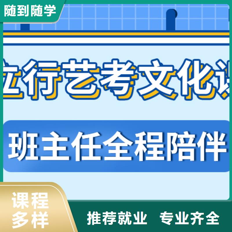 艺考生文化课集训艺考一对一教学随到随学