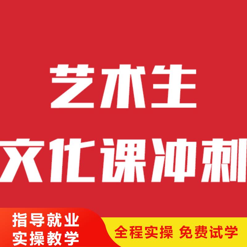 艺考文化课-【舞蹈艺考培训】实操教学
