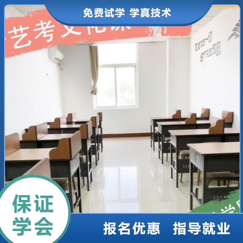 艺考生文化课,艺考一对一教学保证学会