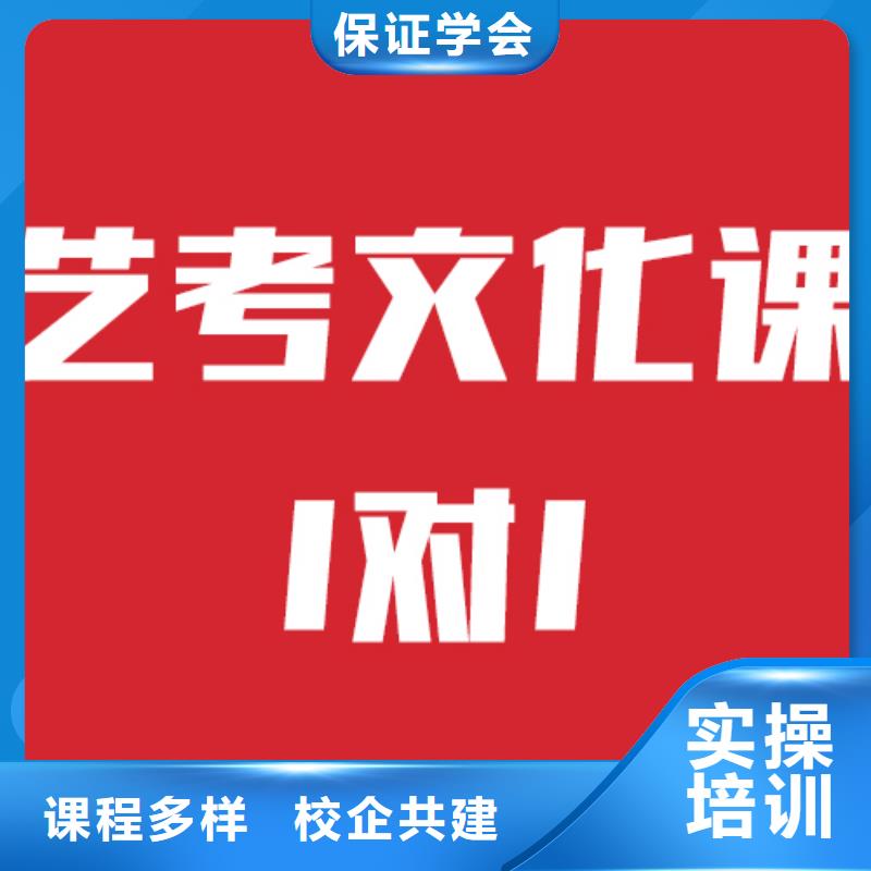 艺考生文化课美术艺考学真技术