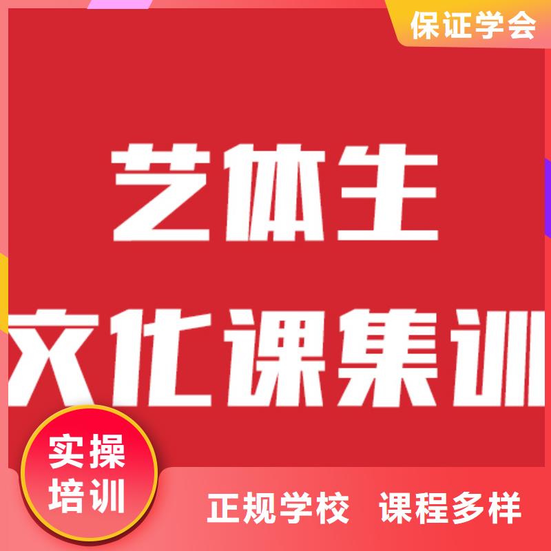 艺考生文化课,艺考一对一教学保证学会
