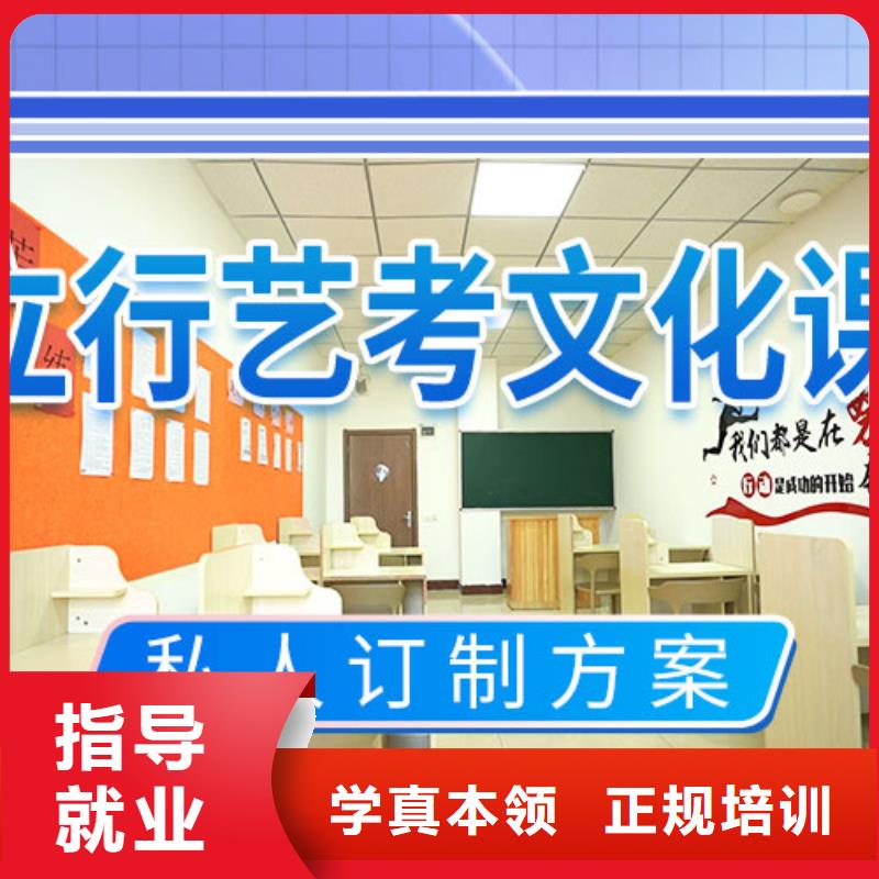 艺考文化课集训高考语文辅导理论+实操