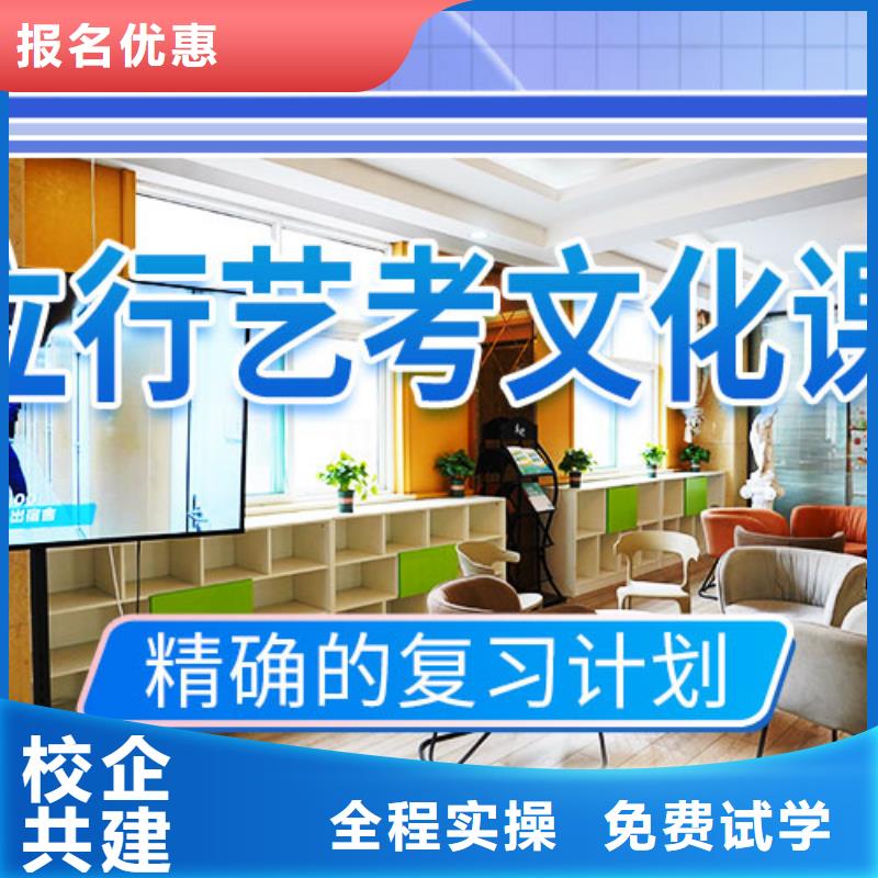 艺考文化课集训艺考一对一教学理论+实操