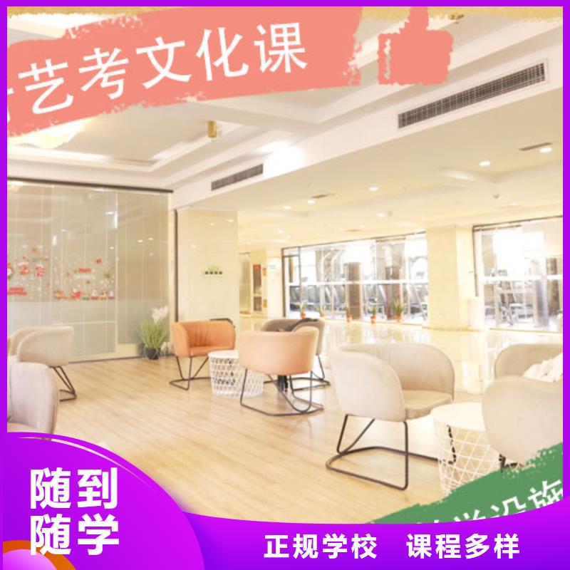 艺考文化课培训-美术生文化课培训学真本领