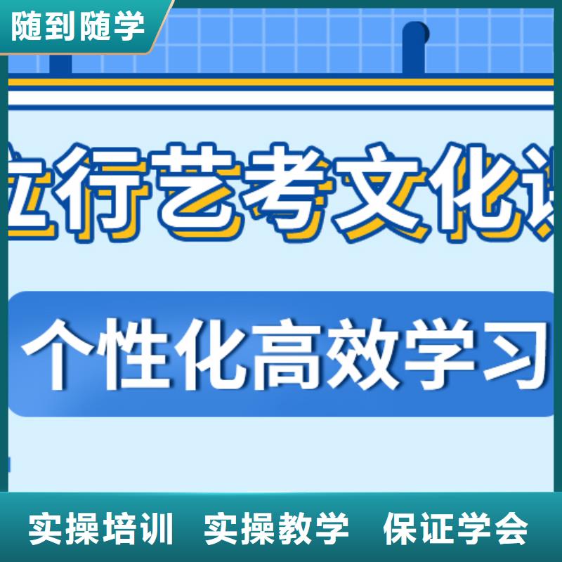 艺考文化课艺考培训机构老师专业