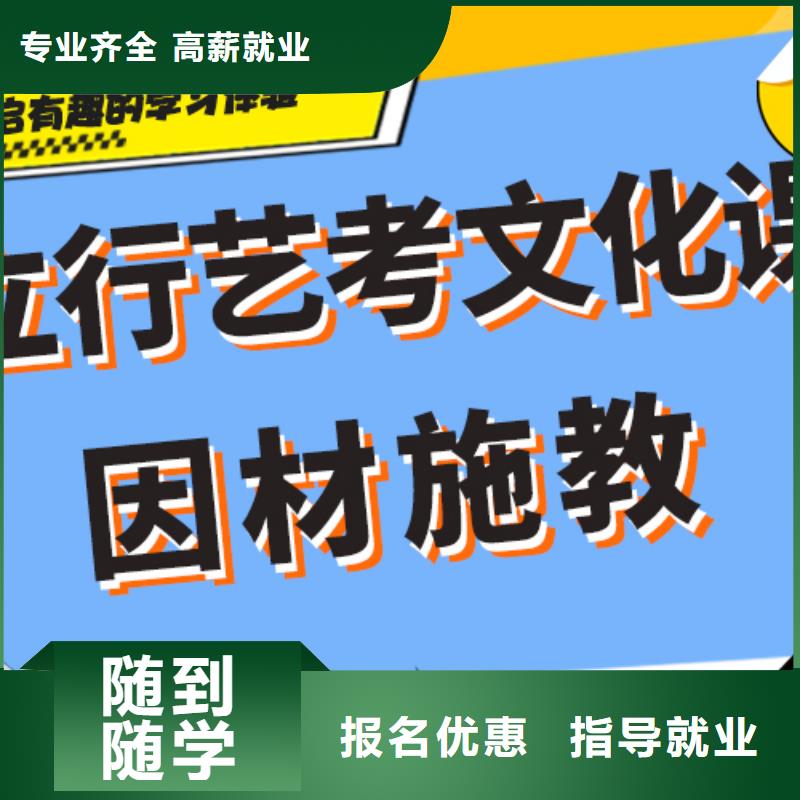 艺考文化课艺考文化课培训老师专业
