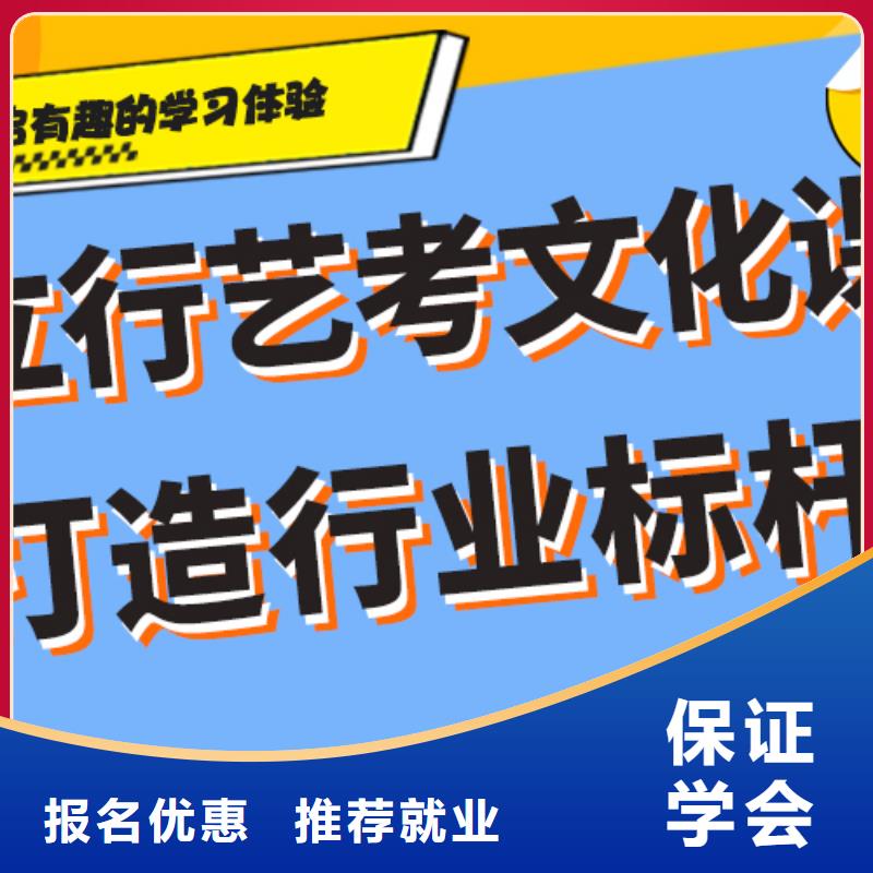 艺考文化课艺考培训机构老师专业