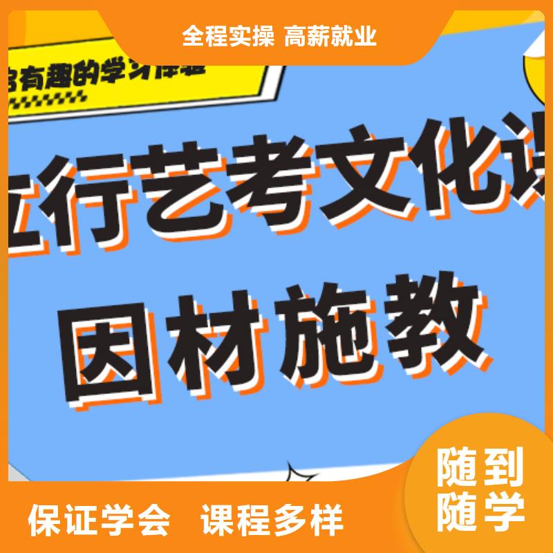 艺考生文化课正规学校当地经销商