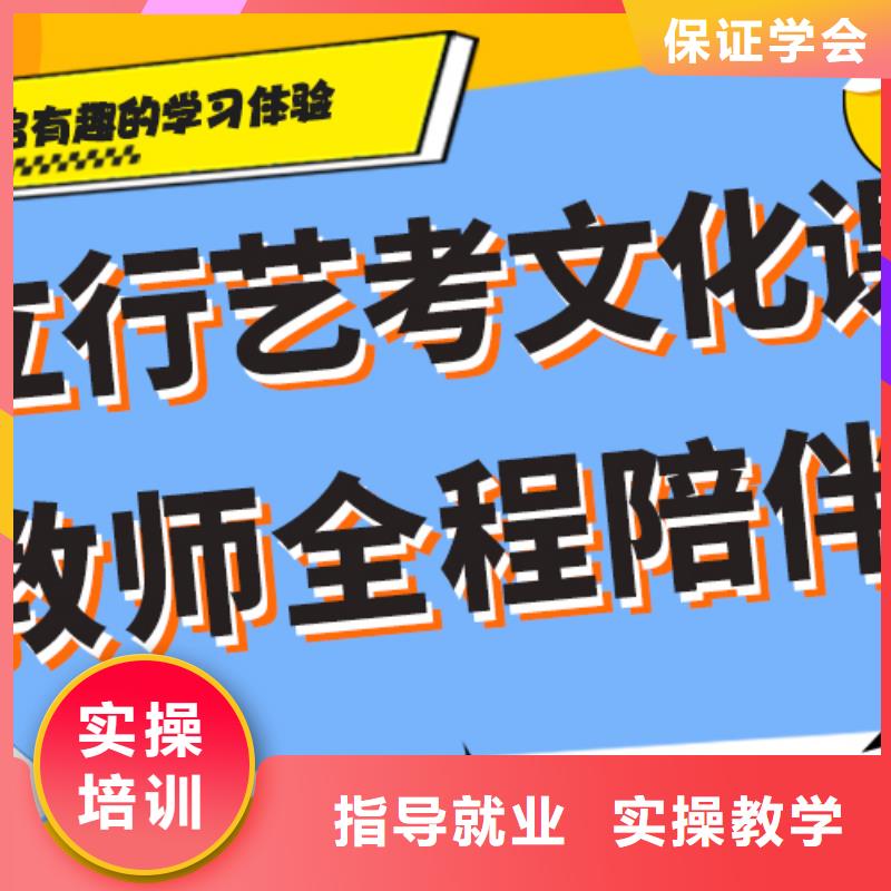 艺考生文化课高考语文辅导随到随学