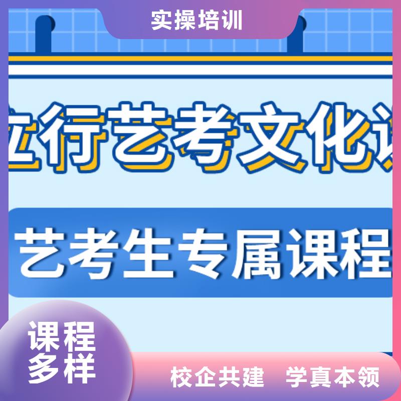 艺考生文化课正规学校当地经销商
