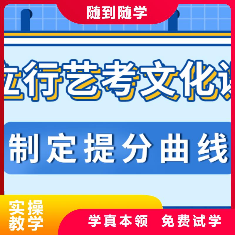 艺考生文化课-高考辅导师资力量强