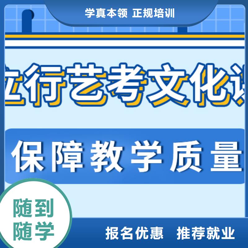 艺考生文化课高考语文辅导随到随学