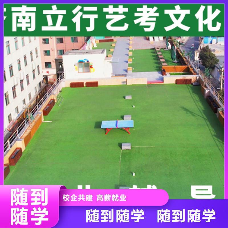 【艺考文化课】【高三复读】课程多样